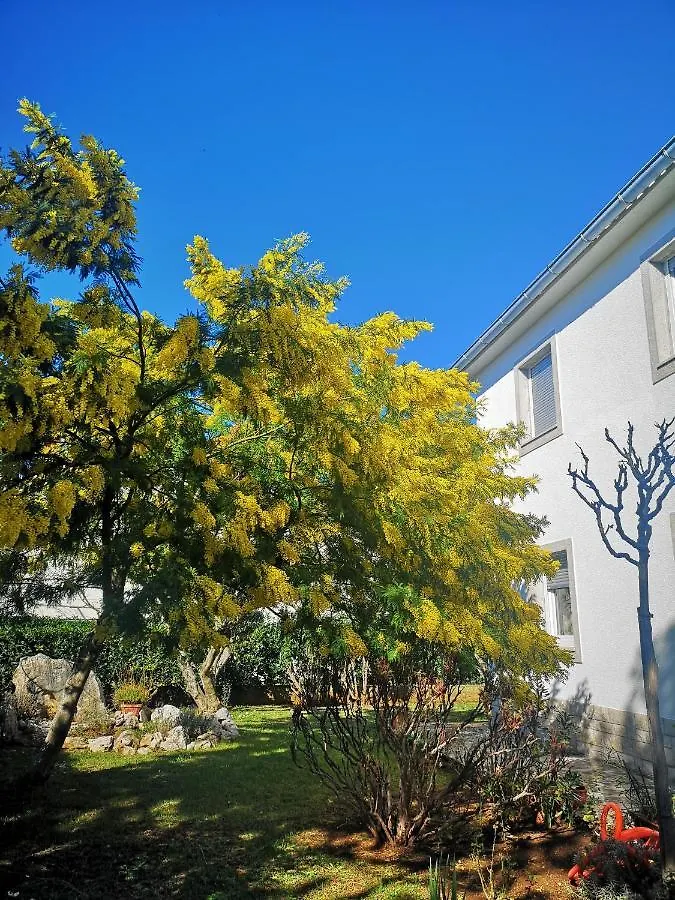 Villa Marica Šilo 0*,  Chorvatsko